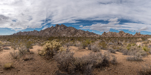 Panoramic view of desert landscape at the Mohave National Preserve in Kelso, California