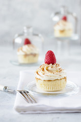 Raspberry cupcake on plate