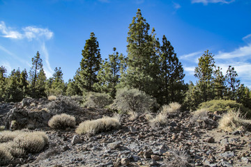 Teneriffa - Pico del Teide und Nationalpark Teide