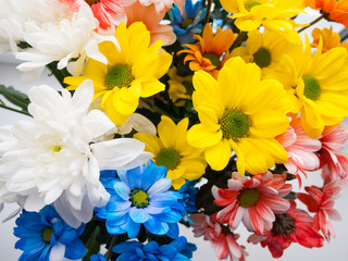 Bouquet of beautiful multi-colored chrysanthemums in a vase