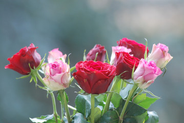 Bouquet de roses