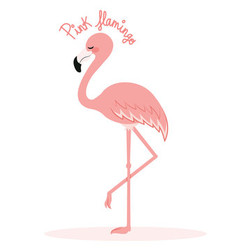Illustration of cute pink flamingo standing on one leg with text