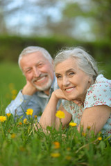 senior couple lying on green meadow with dandelions