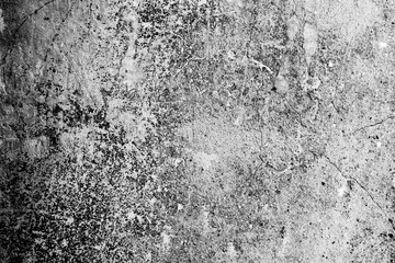 Wall fragment with attritions and cracks