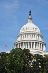 United States Capitol Building in Washington, District of Columbia, USA.