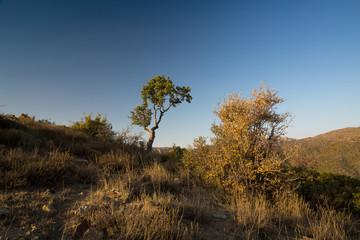Obraz premium Roudbarak, Semnan, Iran