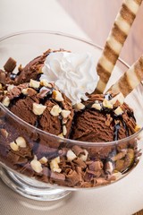 Chocolate Ice Cream in a Cup