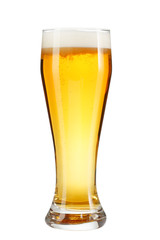 glass of beer isolated on white background.