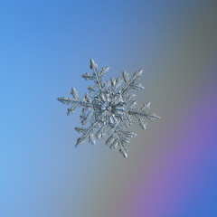 Snowflake glittering on light blue background. Macro photo of real snow crystal: large stellar...