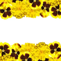 Wall murals Pansies Beautiful floral background of pansies and rudbeckia 