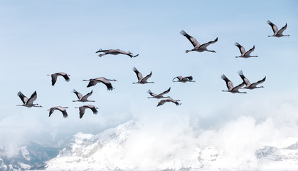 in flight