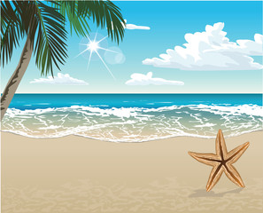 Fototapeta na wymiar Vector tropical beach with a palm-tree and copy space
