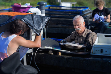 senior veterinary checking sturgeonss health