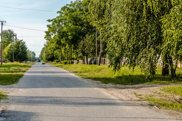 Fototapeta na wymiar Panorama Street in the countryside near the town of Novi Sad 