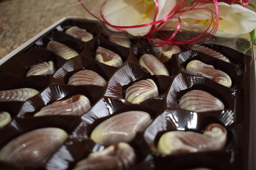 chocolate sweets in the form of cockleshells