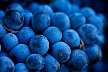 Grapes