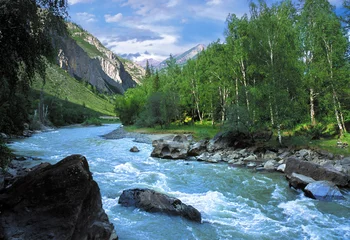 Fototapeten Chuja-Gebirgsfluss im Altai, Russland © Yury Kirillov