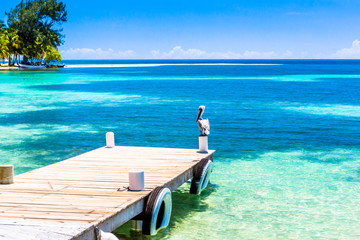 Belize, a tropical paradise in Central America.