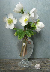 blumenvase, Blumenstrauß