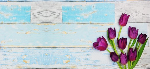 Tulips flower background. Spring flower background. Wallpaper. Flower pattern