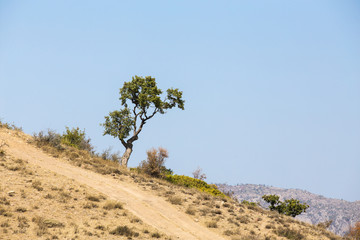 Roudbarak, Semnan, Iran