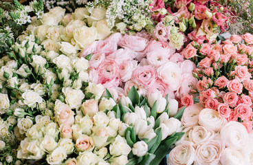 Very nice and tender fresh blossoming flowers at the florist shop: white tulips, pink ranunculus, roses - 196405138