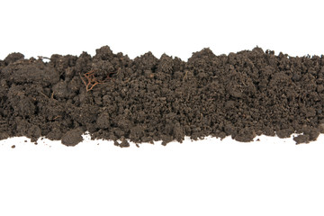 soil on a white background