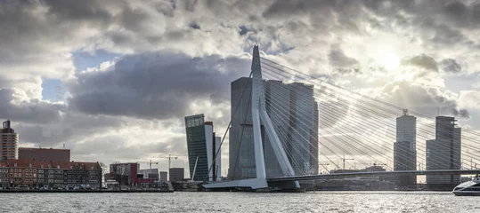 Papier Peint photo autocollant Pont Érasme City Landscape, panorama - view on Erasmus Bridge and district Feijenoord city of Rotterdam, The Netherlands.