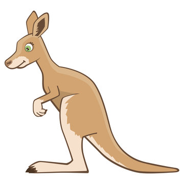 Cute Kangaroo Cartoon Vector Illustration Isolated on White