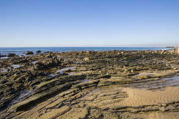 Southern California tide pools