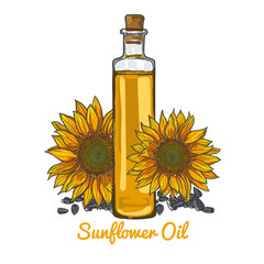illustration with a sunflower oil and sunflower seeds, glass oil vessels.