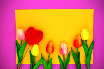 red and pink tulips.flower background