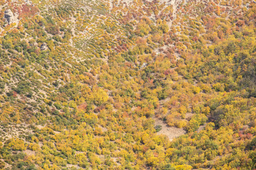 Obraz premium Autumn in Roudbarak, Semnan, Iran