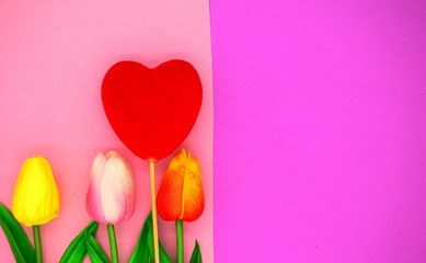red and pink tulips.flower background