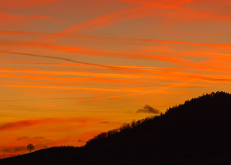 a tree and a dramatic red sky