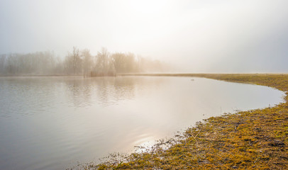 Fototapeta premium Reed along the edge of a foggy lake in sunlight in winter