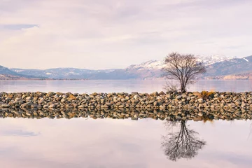 Zelfklevend Fotobehang Tree growing on breakwater reflection in calm lake with snow covered mountains in distance © Amy Mitchell