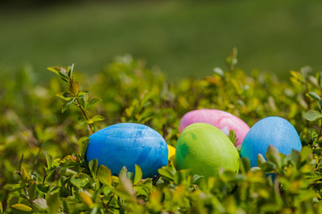 Four multi-colored Easter eggs on young leaves of bushes.