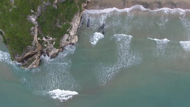 Aerial top-down view. The beach of Marina di Minturno town. Italy. 4K