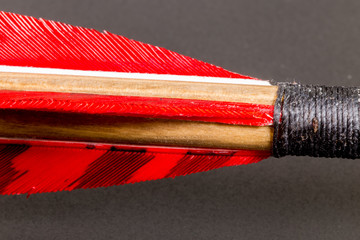 Super macro of the back of red black and brown arrow nock three fletching shaft