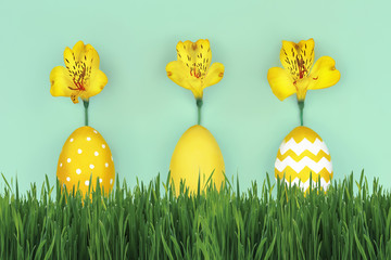 Happy Easter concept. Yellow eggs with yellow flowers on green grass on yellow background. Spring is coming concept.