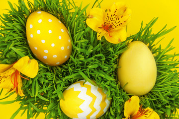 Happy Easter Day. Colorful tradition easter eggs lying on green grass with spring's flowers on yellow background