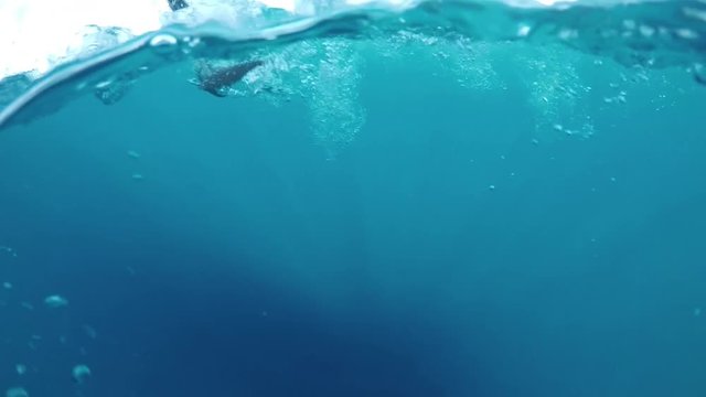 Fish struggling at the ocean surface after being caught.