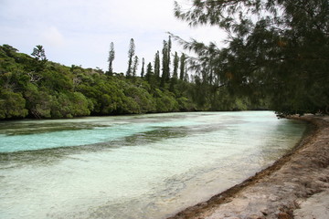 rivi&egrave;re d'azur