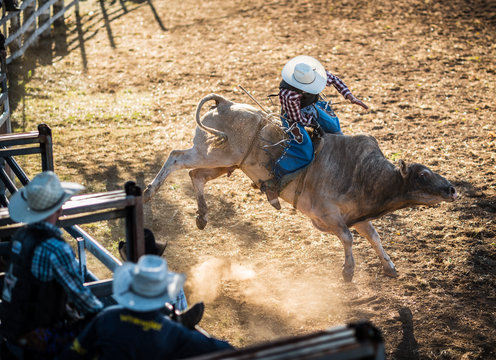 bull riding at a Rodeo