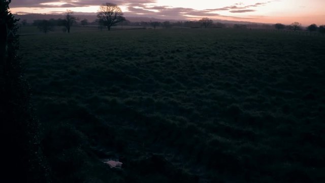dark landscape view dew on grass, field and silhouettes of trees in distance. Dramatic sunrise  purple and orange sky. Camera panning slowly