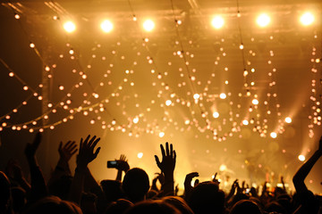Fototapeta na wymiar Crowd in a concert