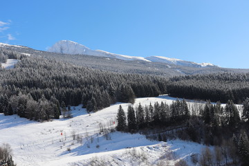 Auvergne-Rhône-Alpes - Isère - Villard-de-Lans - La Forêt devant la Grande Moucherolle