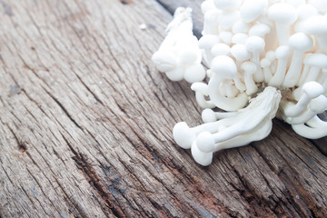 White Shimeji mushroom on rustic wooden background, Close up, Healthy food concept