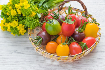 カラフルなミニトマトと菜の花